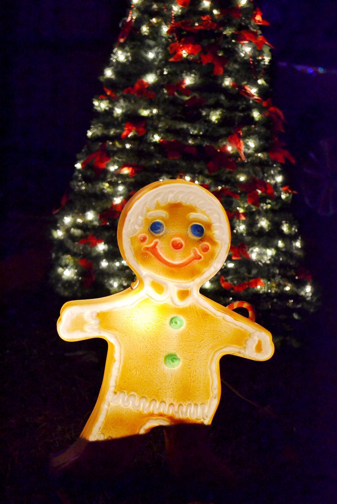 Napa Christmas lights